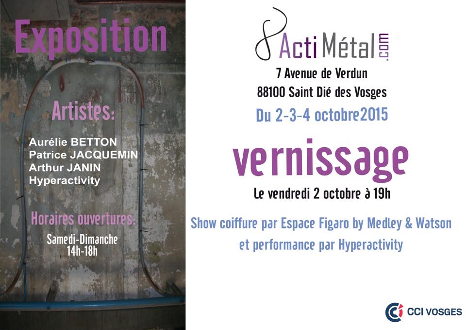 Exposition Actimetal Saint-Dié-des-Vosges avec Hyperactivity